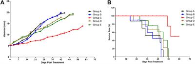 Quantitative Proteomics Analysis of FFPE Tumor Samples Reveals the Influences of NET-1 siRNA Nanoparticles and Sonodynamic Therapy on Tetraspanin Protein Involved in HCC